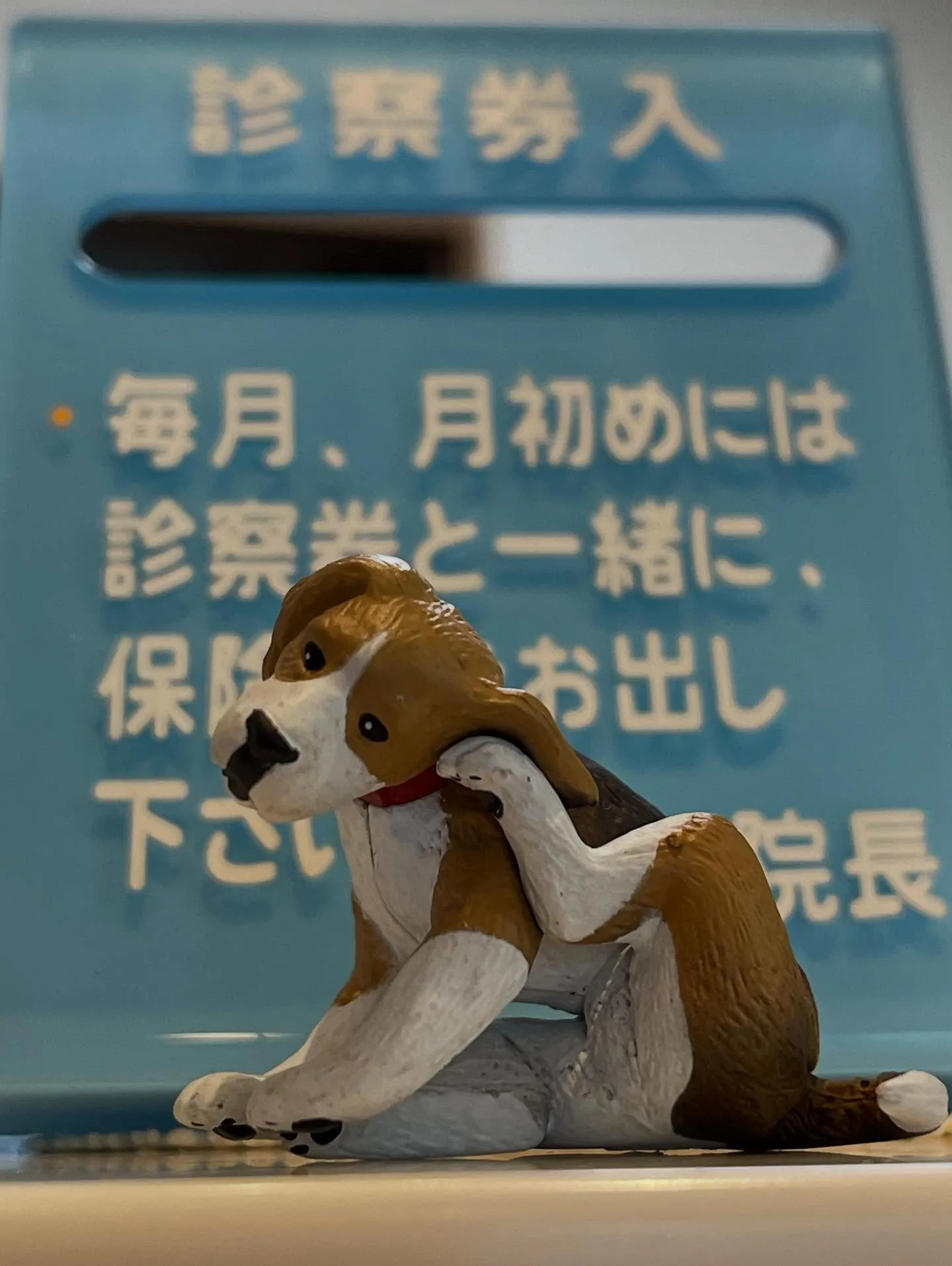 皆様、いかがお過ごしでしょうか。