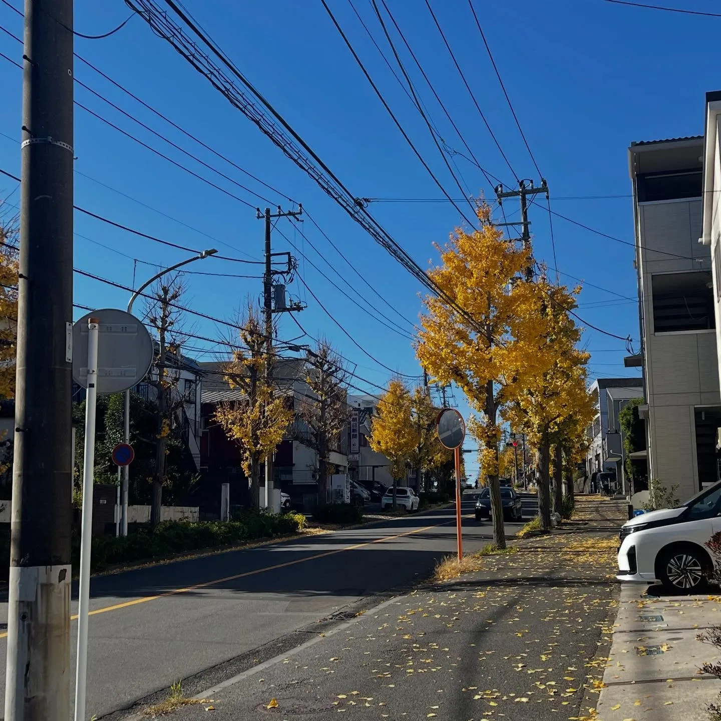 虫歯が出来た途端に痛みを感じるわけではありません。